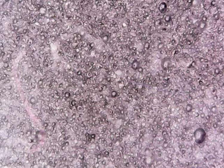 1 The honeycomb structure of polyurethane tires.jpg